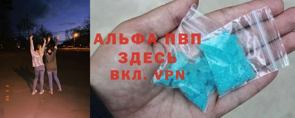 эйфоретик Гусев