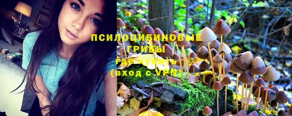 экстази Дмитров