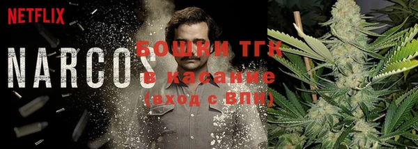 гидропоника Дмитриев