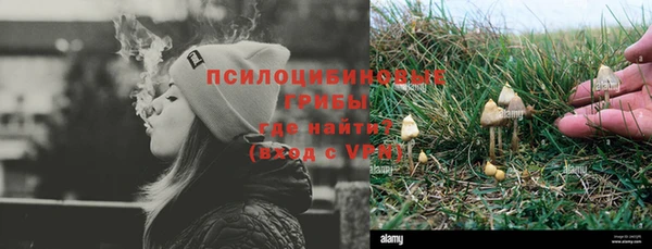 гидропоника Дмитриев